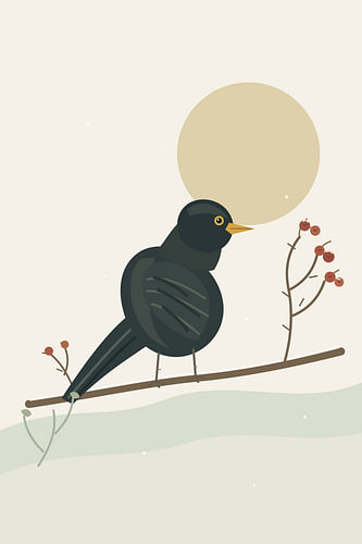 Common Blackbird — Hawthorn Dusk