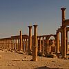 Palmyra – Wo Säulen Geschichten erzählen von WeltReisender Magazin