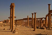 Palmyra - Where columns tell stories