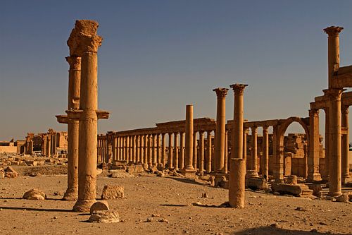 Palmyra – Wo Säulen Geschichten erzählen