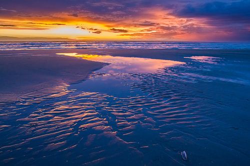 Coucher de soleil avec ciel violet et marais au premier plan