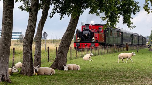 Voorbijrazende stoomtrein