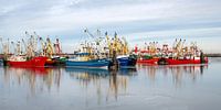 Kleurrijke schepen in de haven van Lauwersoog. van Hanneke Luit thumbnail
