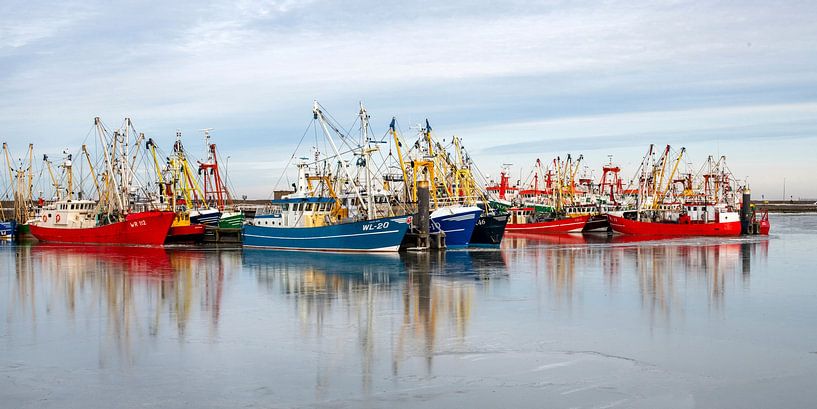 Kleurrijke schepen in de haven van Lauwersoog. van Hanneke Luit