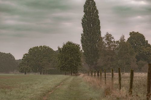 retro landscape