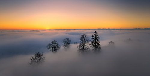Sonnenaufgang an der Nebelgrenze von Judith Kuhn