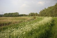 Wandeling over een dijk