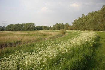 Marcher sur une digue