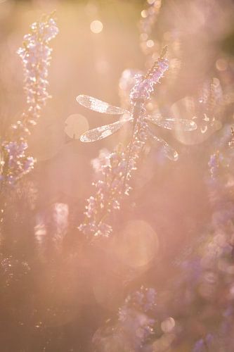 in der Abstraktion verloren