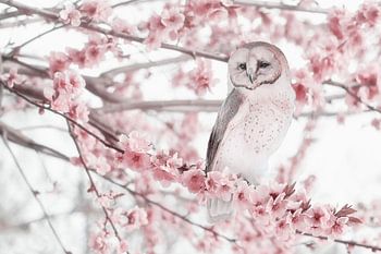 Schönes Foto einer Eule inmitten von Frühlingsblüten - perfekt für Naturliebhaber und Innenräume