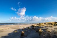 Dunes de Vlieland