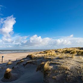 Dunes of Vlieland by Mario Verkerk