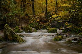 autumn by the river by GWnaturephotography