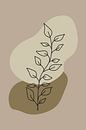 Ferns Flower Abstract Illustration by ComfortQ thumbnail