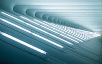 The Lights to Heaven