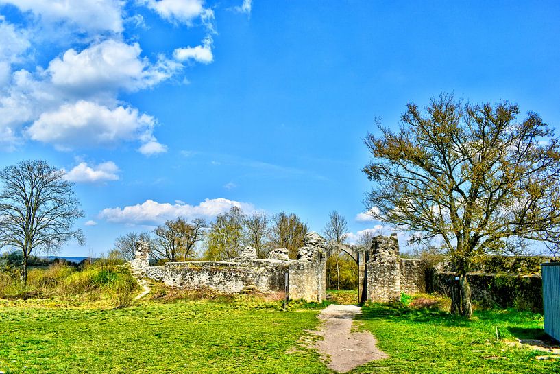 Burgruine Kallmünz von Roith Fotografie
