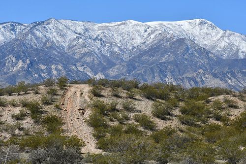 Les sommets enneigés des montagnes de Pinaleno