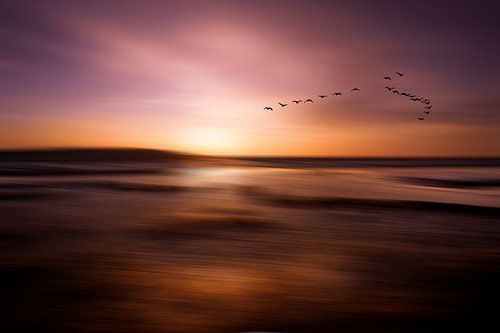 Couleurs du Nord 6 sur Maneschijn FOTO