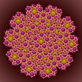 Quintette aus drei Blumen von Tis Veugen