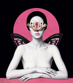 In the Absence of Sight by Marja van den Hurk