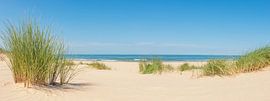 Dunes sur la plage de la mer du Nord lors d'une journée d'été en Hollande sur Sjoerd van der Wal Photographie