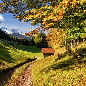 Autumn in Upper Bavaria