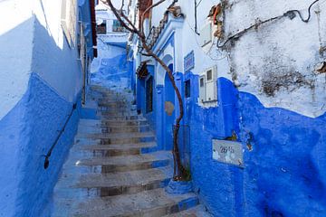 Blauwgewassen trap in de oude stad van Chefchaouen, Marokko. Afrika van Tjeerd Kruse