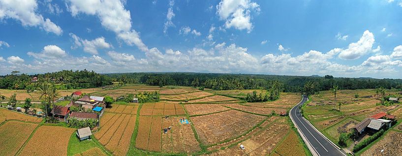Aerial panorama of rice fields near Sideman in Bali, Indonesia by Eye on You