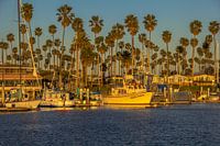 Ventura harbour