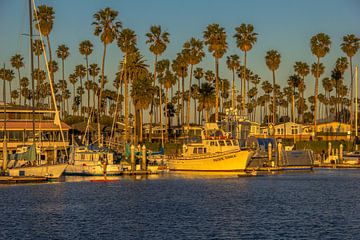 Ventura harbour by Bas Koster