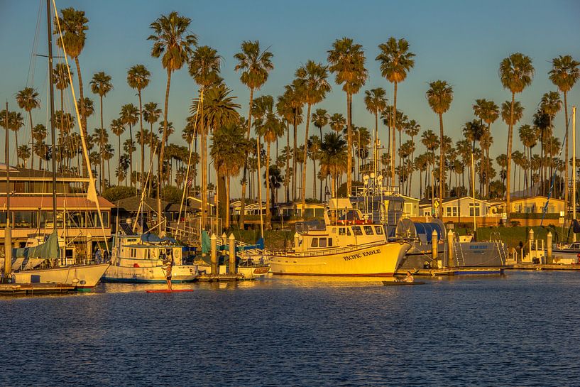 Ventura harbour by Bas Koster