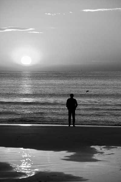 Die Sonne in Zeeland von Sidney Graf