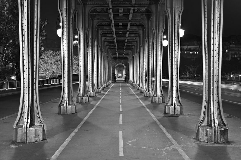 Pont de Bir-Hakeim, Parijs van Nico Geerlings