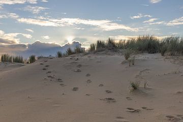 Voetstappen in de duinen leiden de weg naar de zon van Bram Lubbers