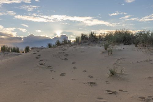 Les pas dans les dunes mènent au soleil