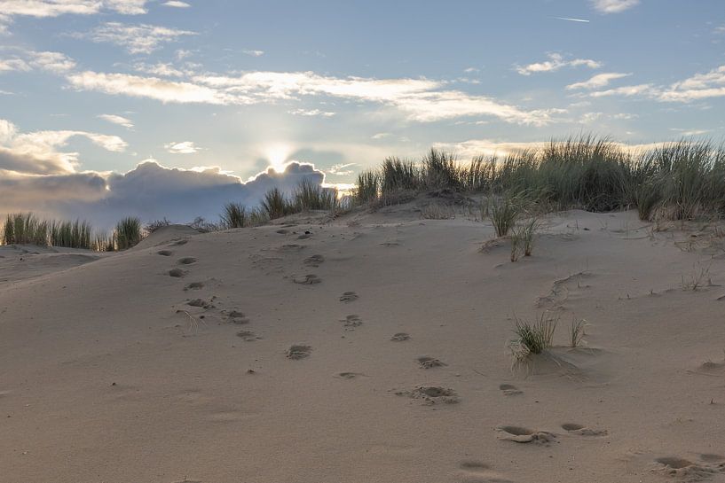Footsteps in the dunes lead the way to the sun by Bram Lubbers