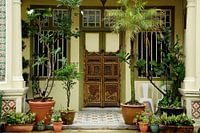 House with the plants