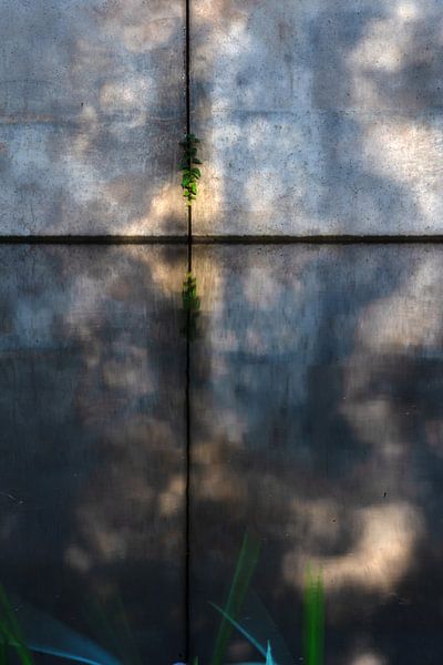 die Wand von Jan Roelof Brinksma