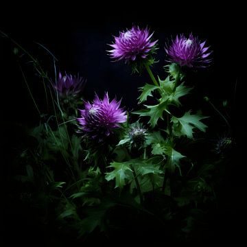 La magie des fleurs : chef-d'œuvre de la nature en rose et violet sur Karina Brouwer