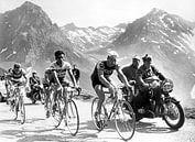 Tour de France 1963: Anquetil, Bahamontes en Poulidor van Bridgeman Images thumbnail
