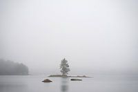 Island in the fog