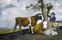 De stier van Potter van Jan Wiersma thumbnail