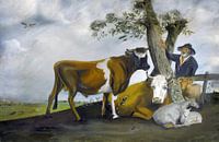 De stier van Potter