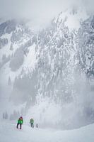 Alpine Winter