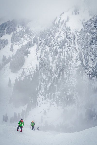 Alpine Winter van menno visser