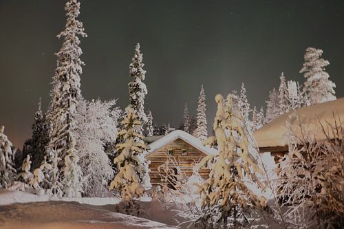 Nordlichter Finnisch-Lappland
