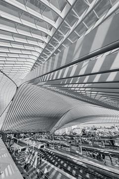 Station of Liege, Belgium. strong architecture by Lex Overtoom