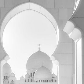 Sheikh-Zayed-Moschee Abu Dhabi von Ron van der Stappen