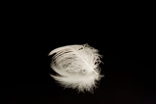 product fotografie zo licht als een veer van Diana Edwards