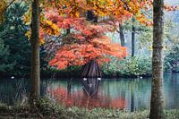 Autumn by the water